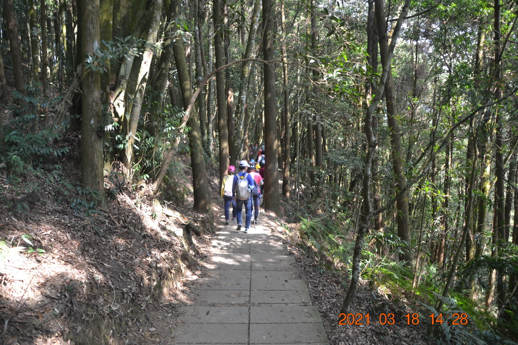 DSC_0164.JPG DSC_0164.JPG