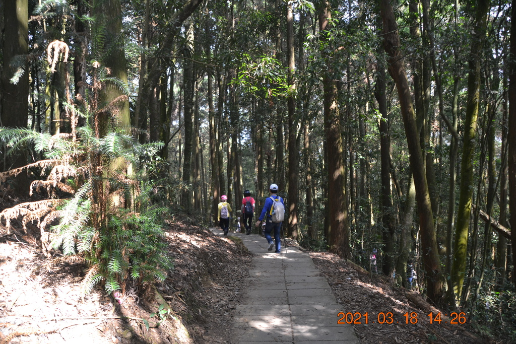 DSC_0163.JPG DSC_0163.JPG