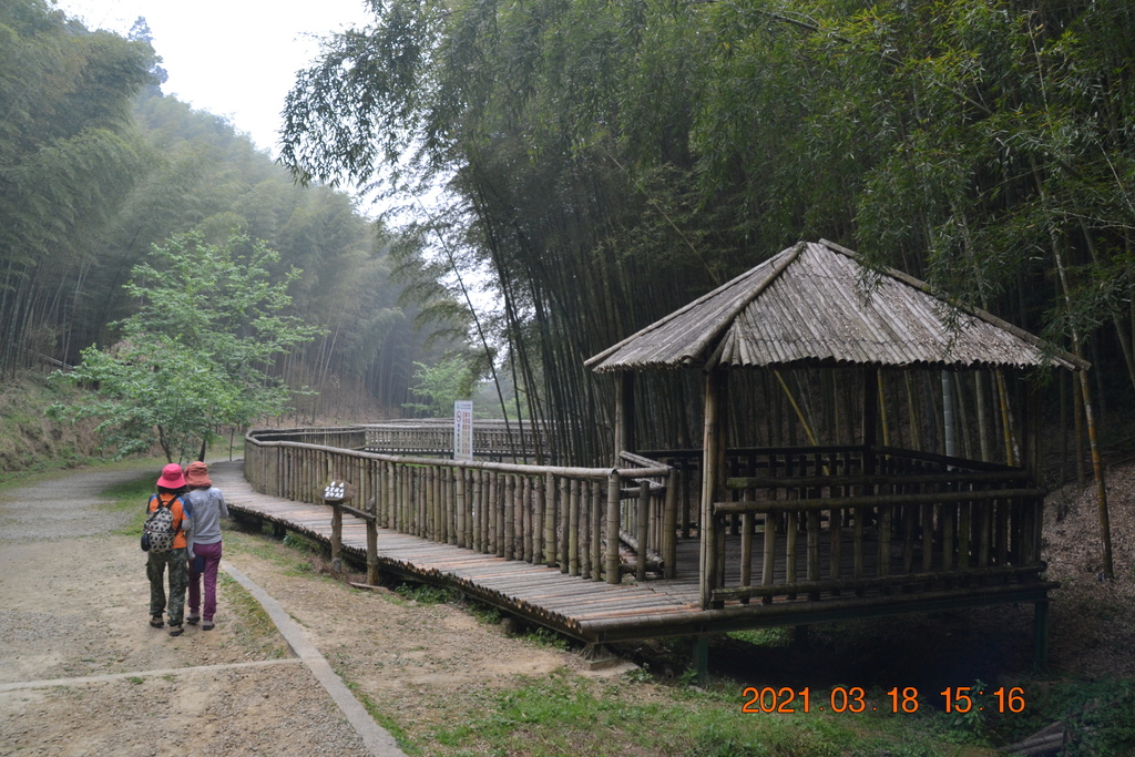 DSC_0217.JPG DSC_0217.JPG