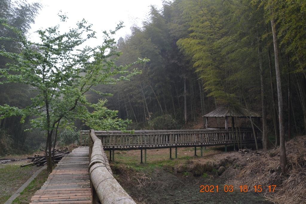 DSC_0218.JPG DSC_0218.JPG