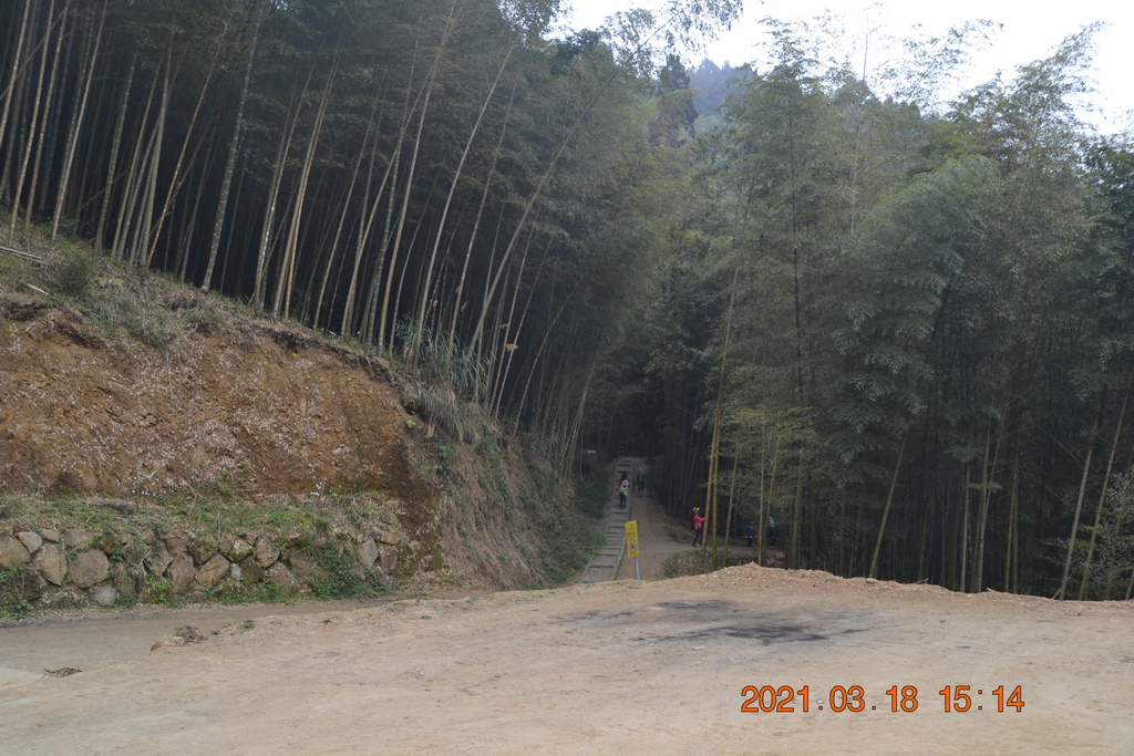 DSC_0216.JPG DSC_0216.JPG