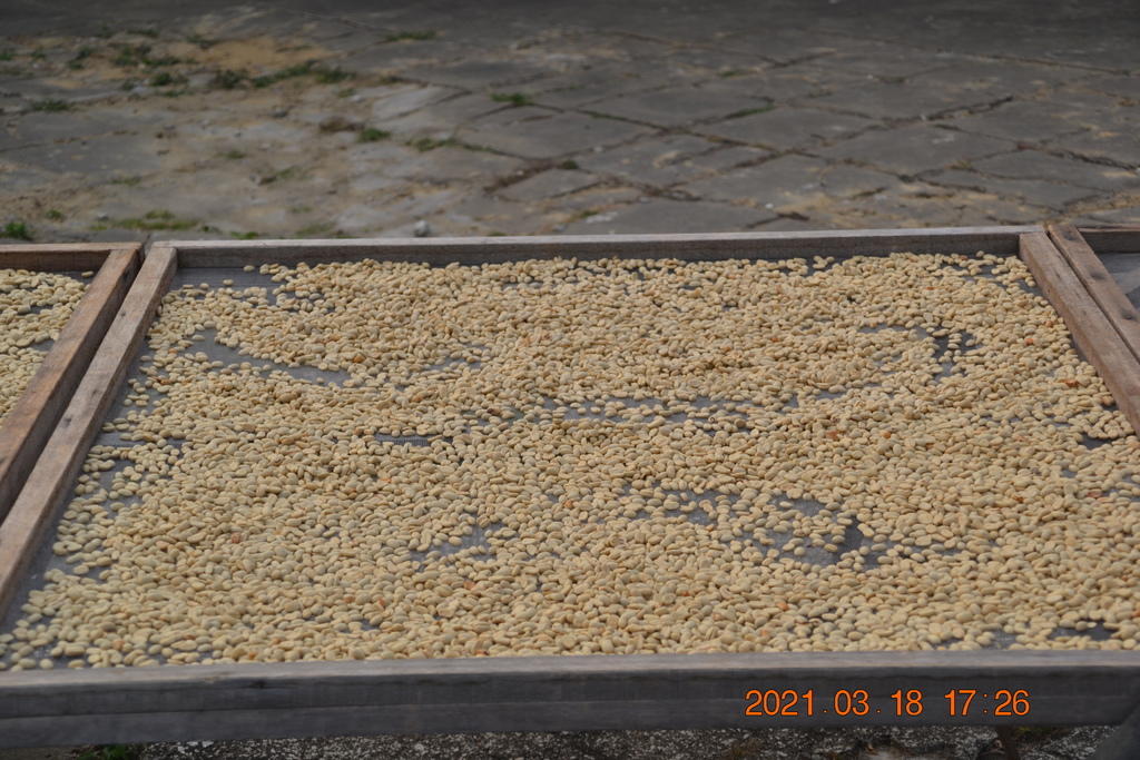 DSC_0279.JPG DSC_0279.JPG