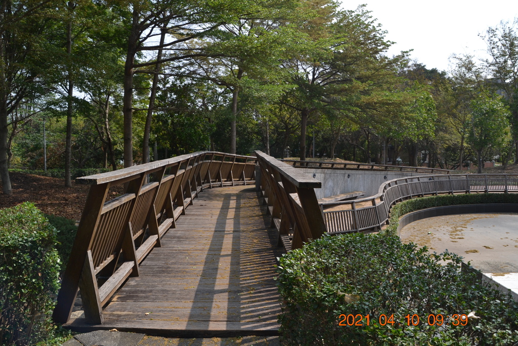 DSC_0213.JPG DSC_0213.JPG