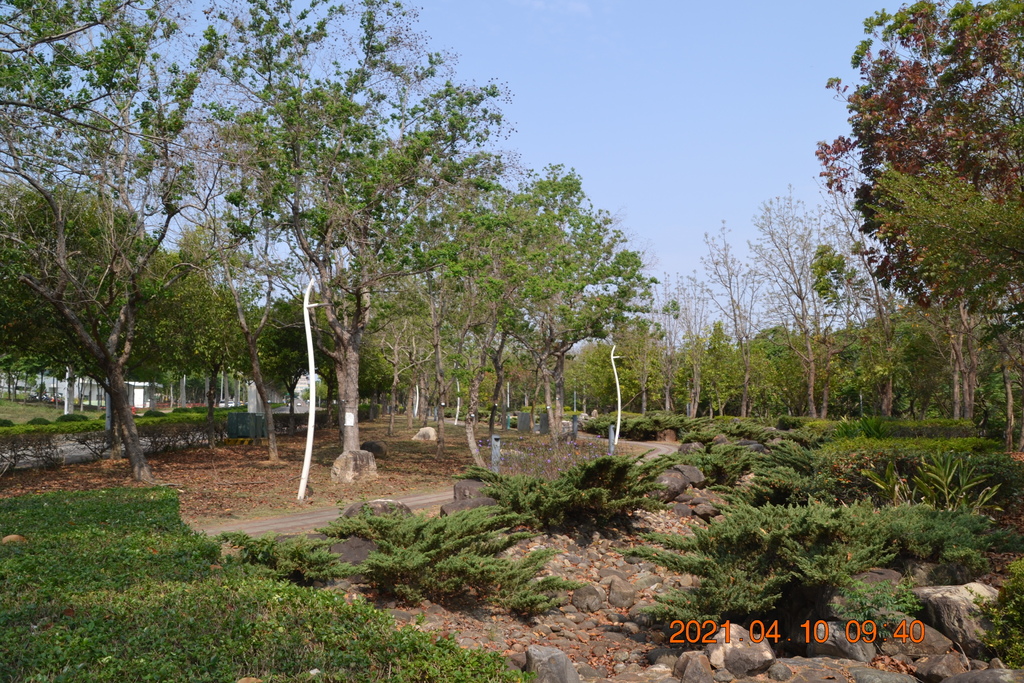 DSC_0214.JPG DSC_0214.JPG