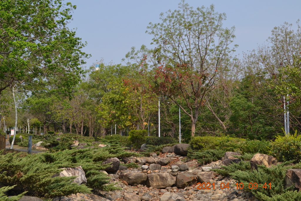 DSC_0217.JPG DSC_0217.JPG