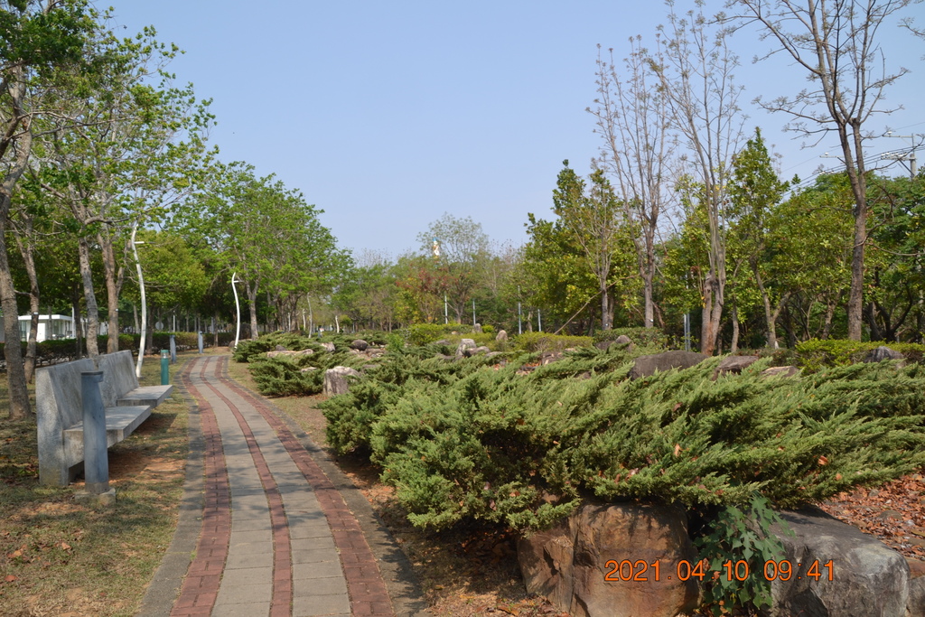 DSC_0216.JPG DSC_0216.JPG