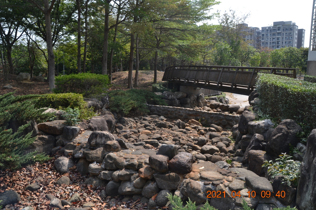 DSC_0215.JPG DSC_0215.JPG