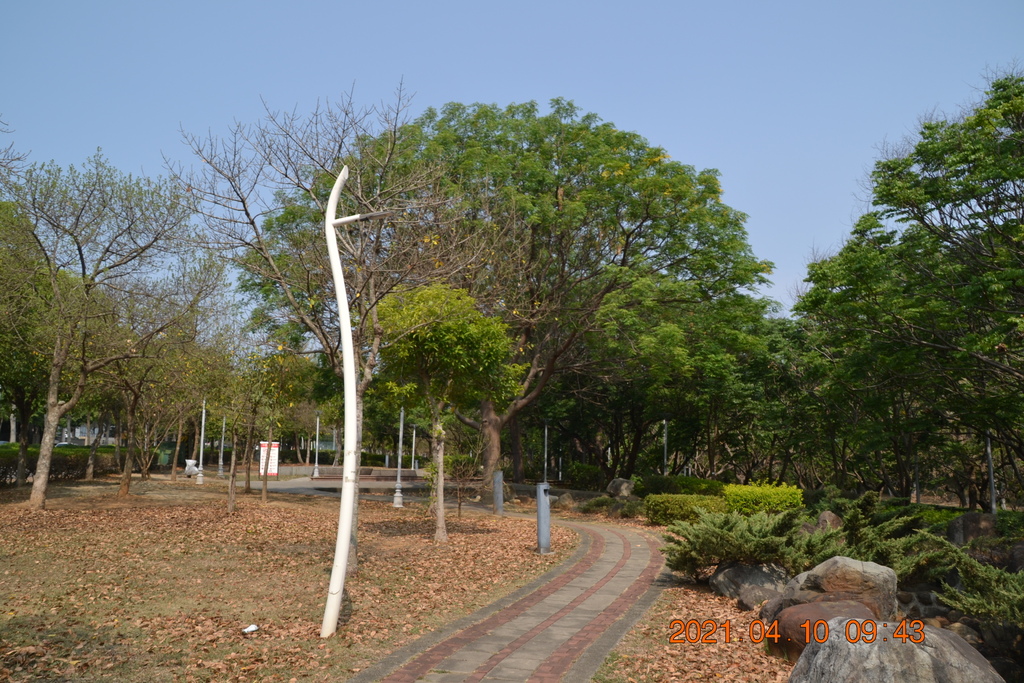 DSC_0218.JPG DSC_0218.JPG