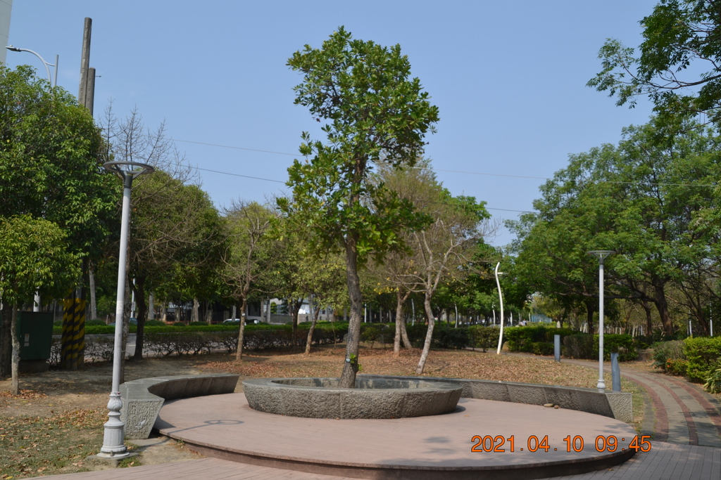 DSC_0220.JPG DSC_0220.JPG
