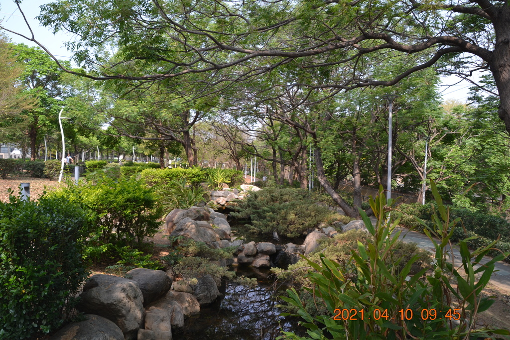 DSC_0221.JPG DSC_0221.JPG