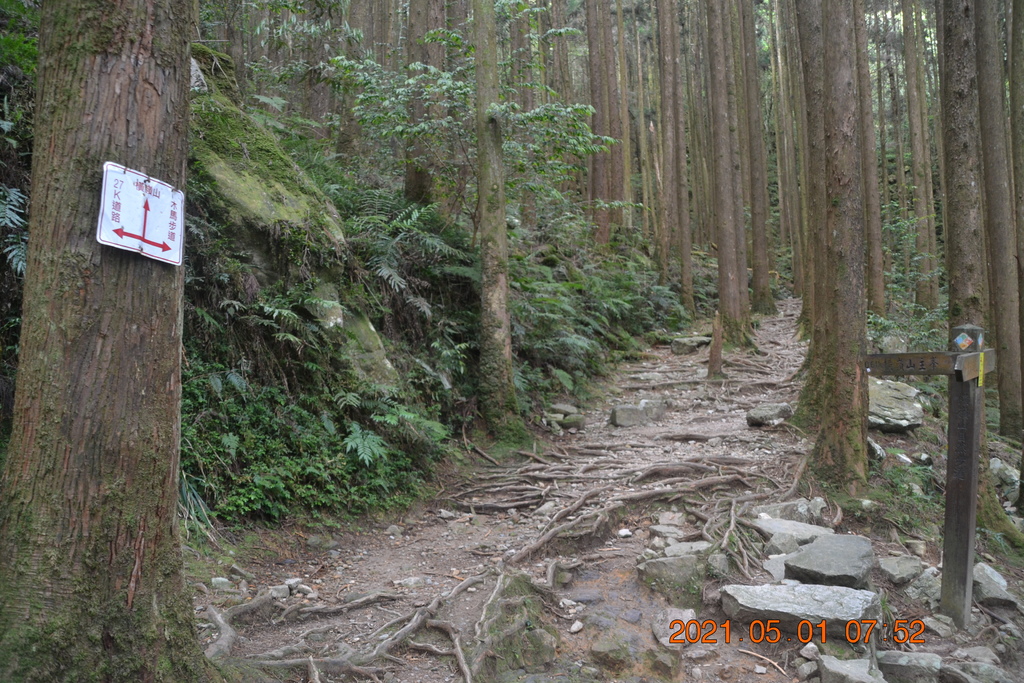 DSC_0027.JPG DSC_0027.JPG