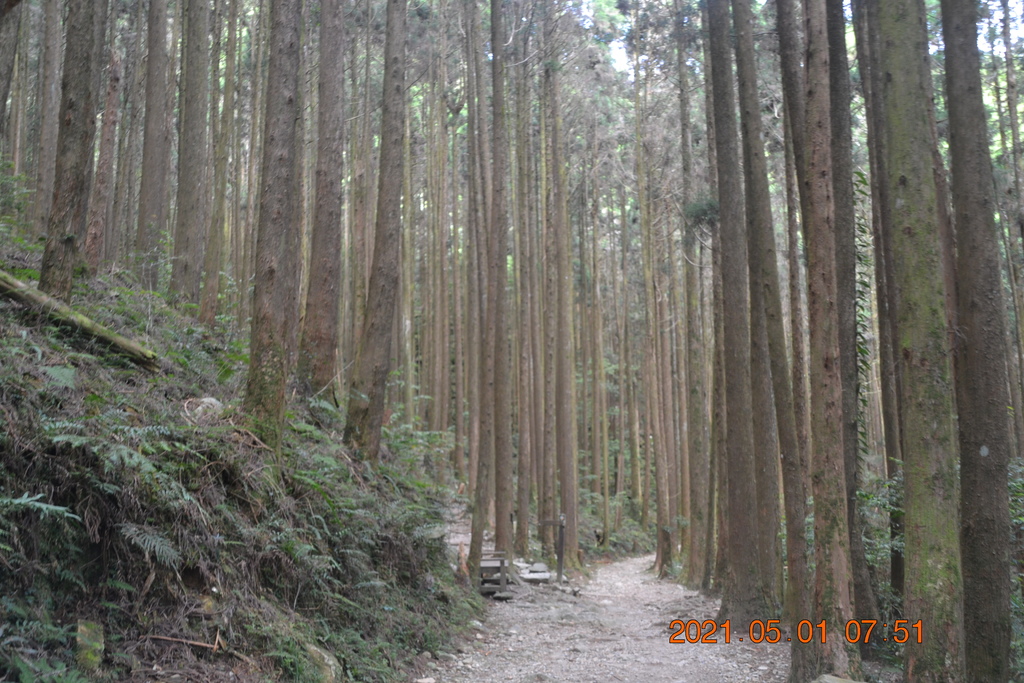 DSC_0022.JPG DSC_0022.JPG