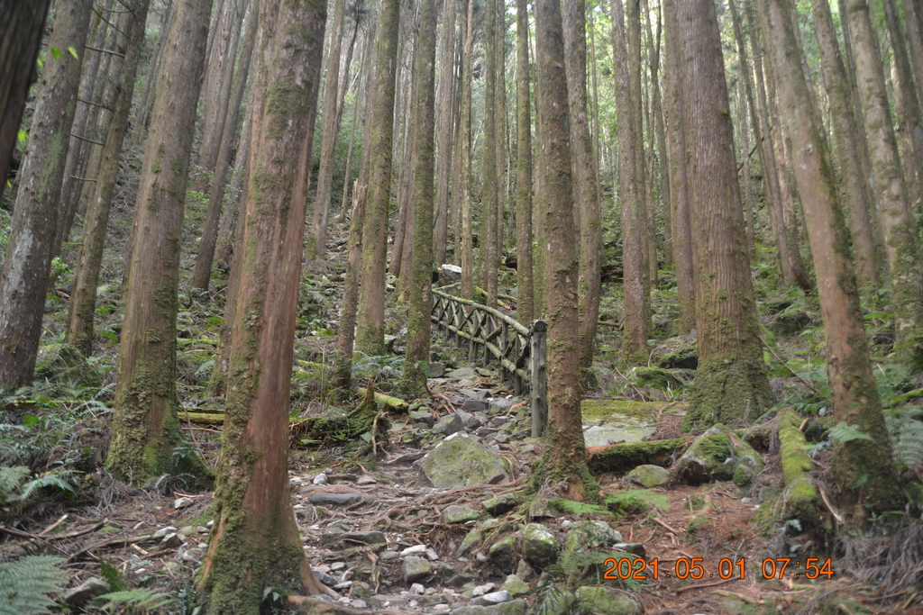 DSC_0034.JPG DSC_0034.JPG