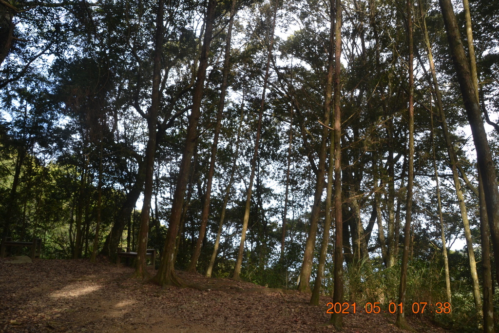 DSC_0009.JPG DSC_0009.JPG