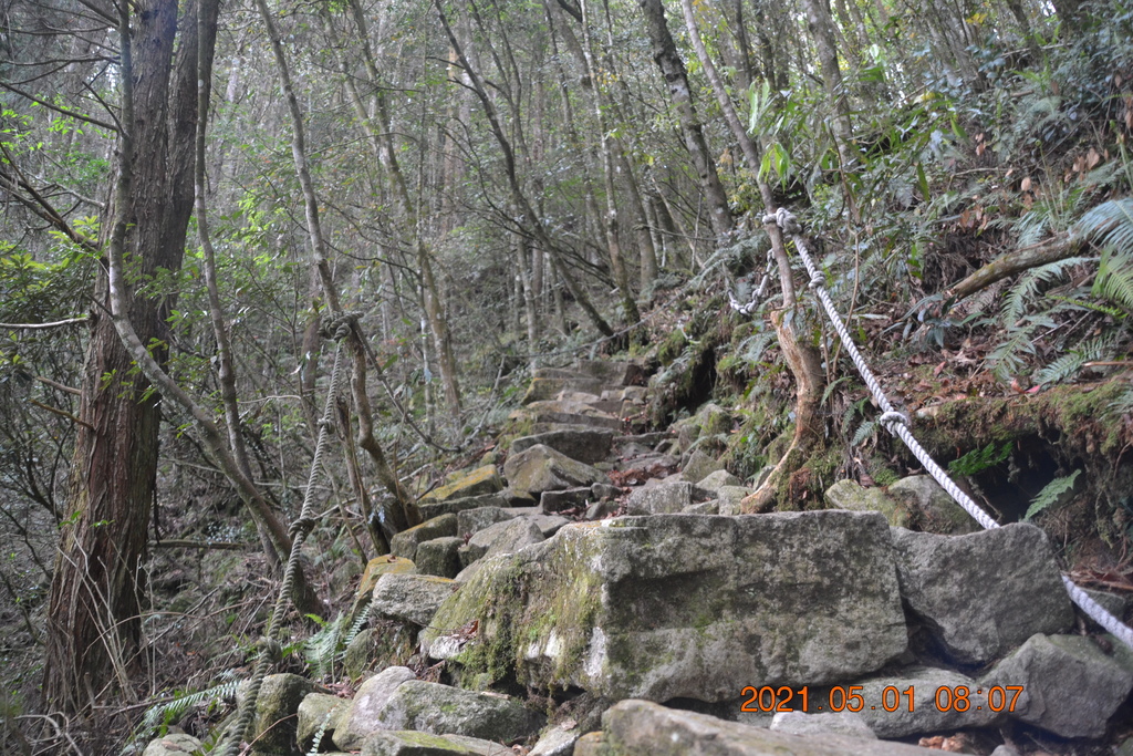 DSC_0041.JPG DSC_0041.JPG