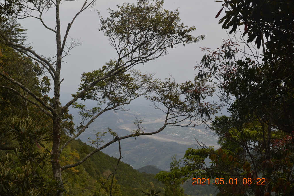 DSC_0056.JPG DSC_0056.JPG