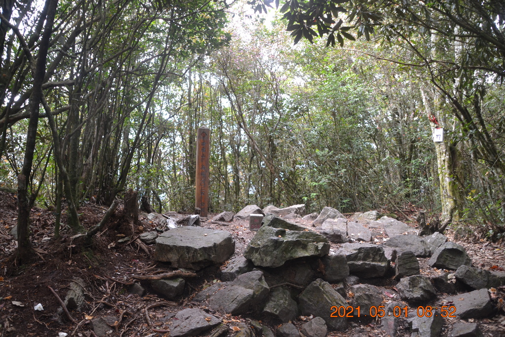 DSC_0080.JPG DSC_0080.JPG