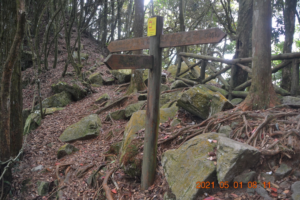DSC_0044.JPG DSC_0044.JPG