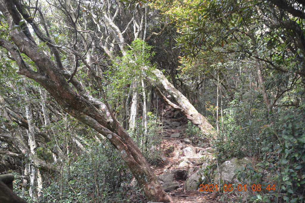 DSC_0070.JPG DSC_0070.JPG