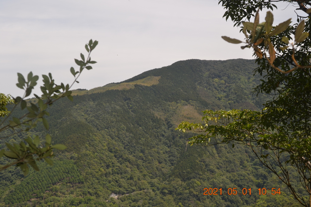 DSC_0132.JPG DSC_0132.JPG