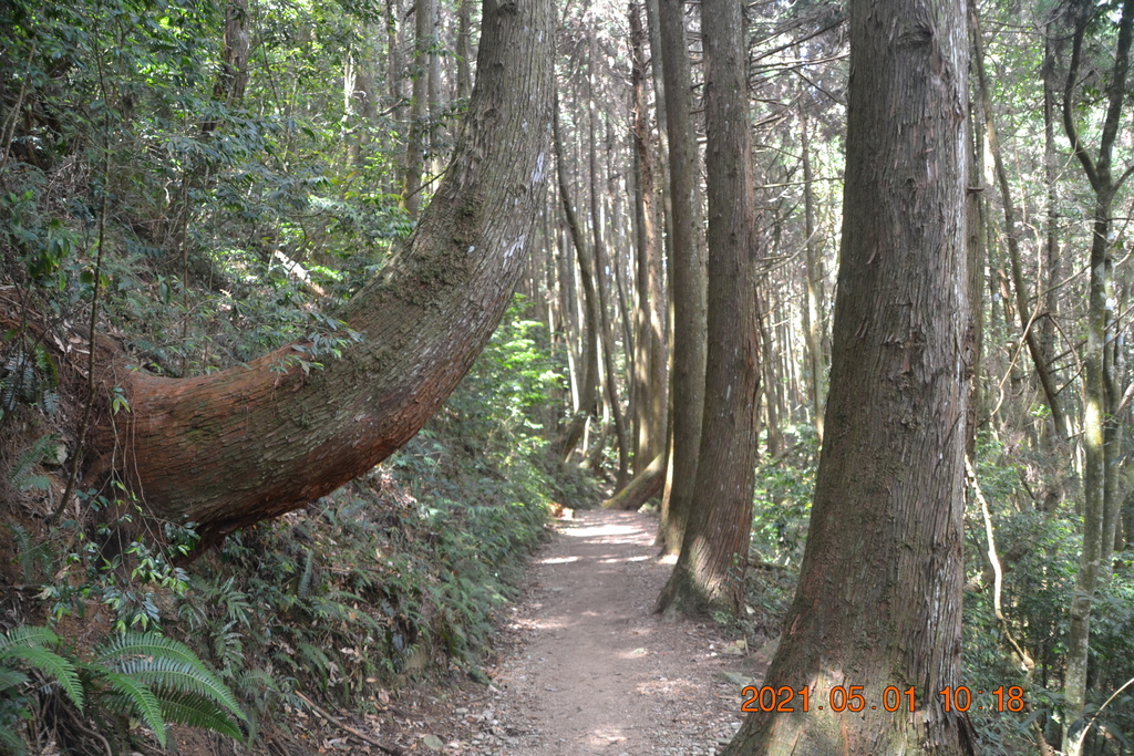 DSC_0117.JPG DSC_0117.JPG