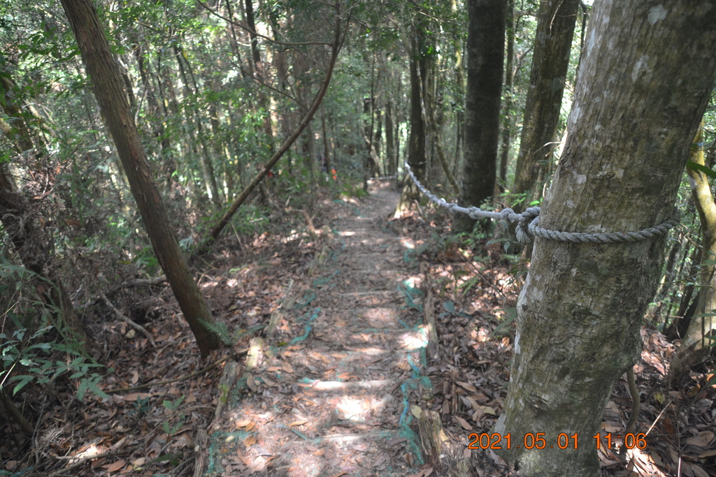 DSC_0138.JPG DSC_0138.JPG