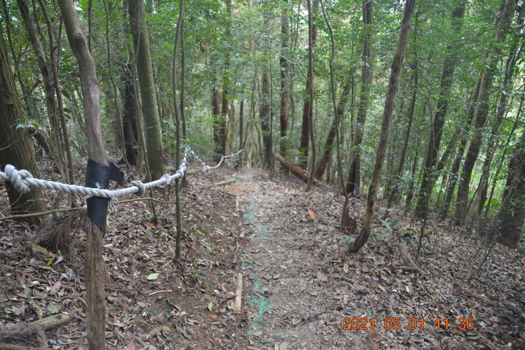 DSC_0144.JPG DSC_0144.JPG