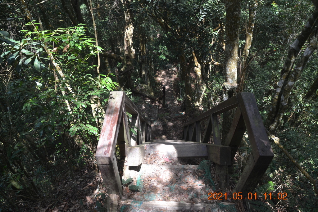 DSC_0136.JPG DSC_0136.JPG