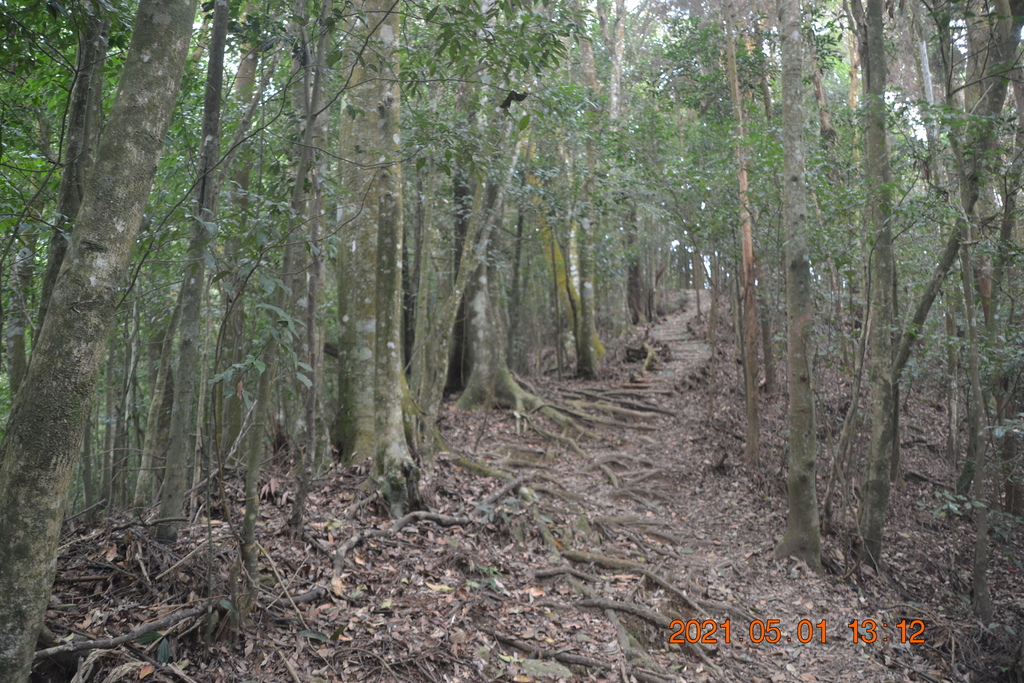 DSC_0153.JPG DSC_0153.JPG