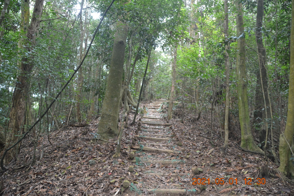 DSC_0150.JPG DSC_0150.JPG