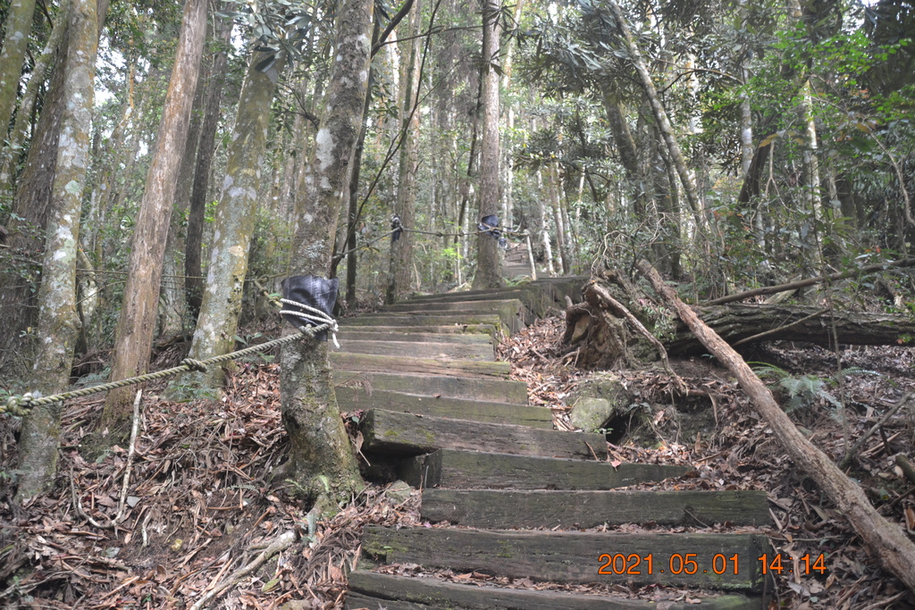 DSC_0162.JPG DSC_0162.JPG