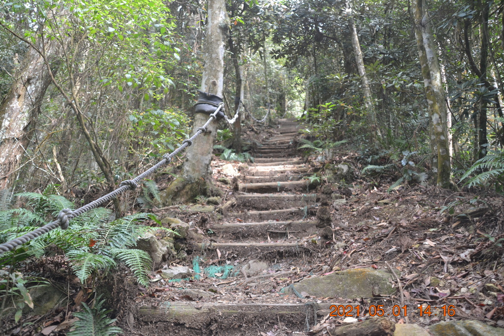 DSC_0163.JPG DSC_0163.JPG