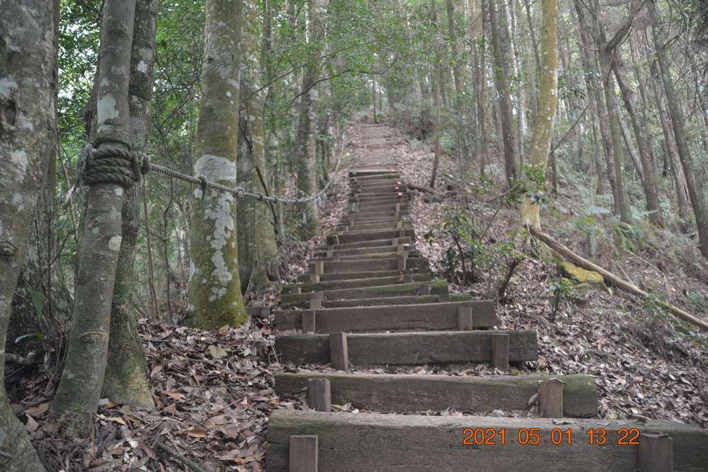 DSC_0154.JPG DSC_0154.JPG