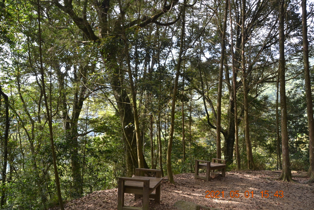 DSC_0184.JPG DSC_0184.JPG
