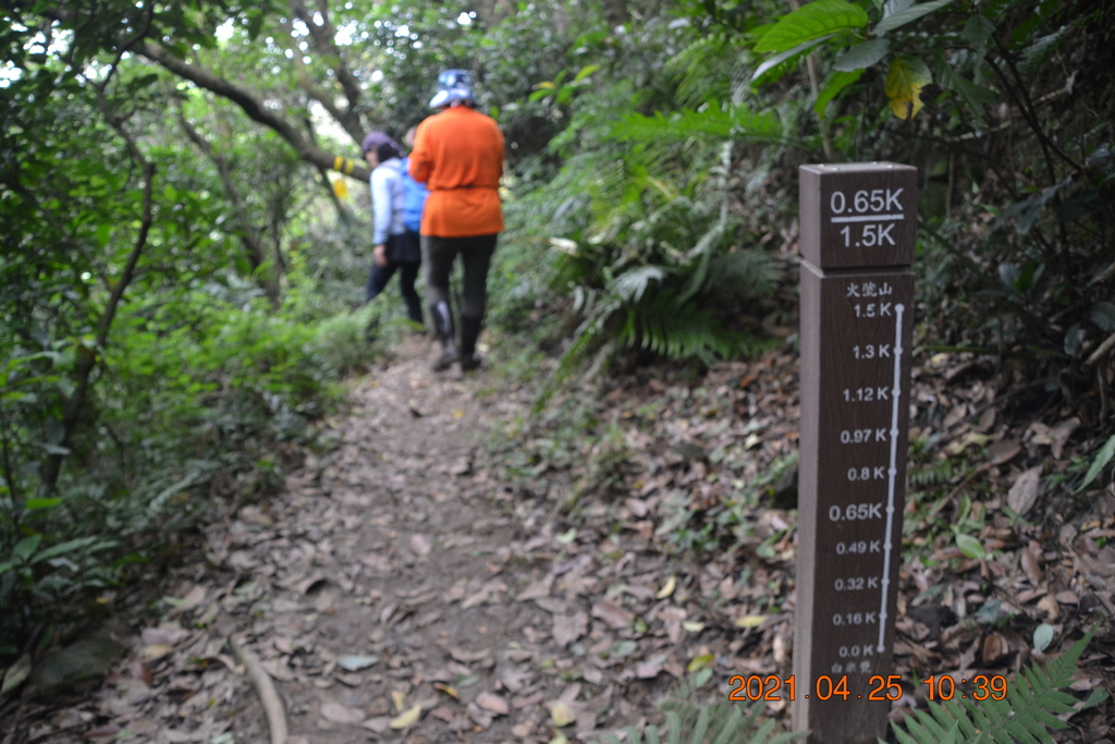 DSC_0121.JPG DSC_0121.JPG