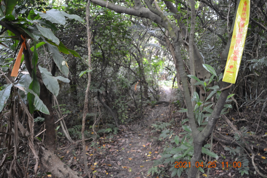 DSC_0129.JPG DSC_0129.JPG