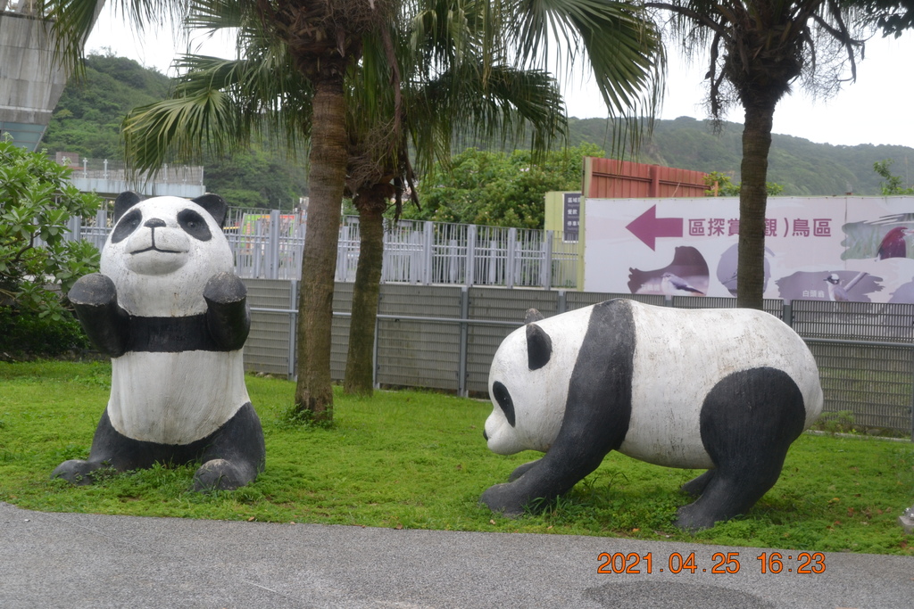 DSC_0419.JPG DSC_0419.JPG