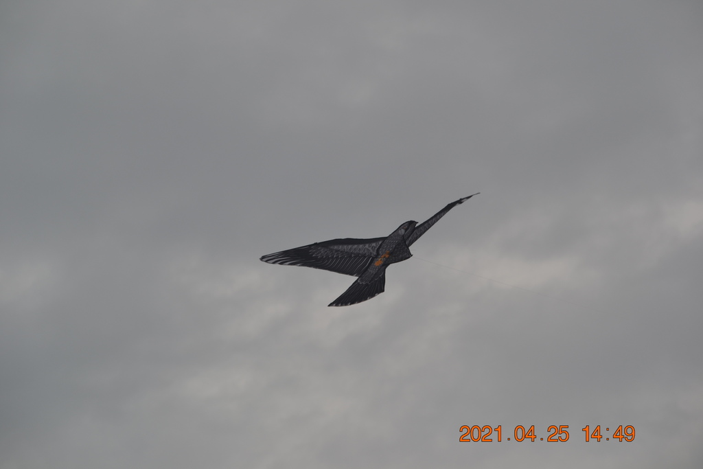 DSC_0310.JPG DSC_0310.JPG