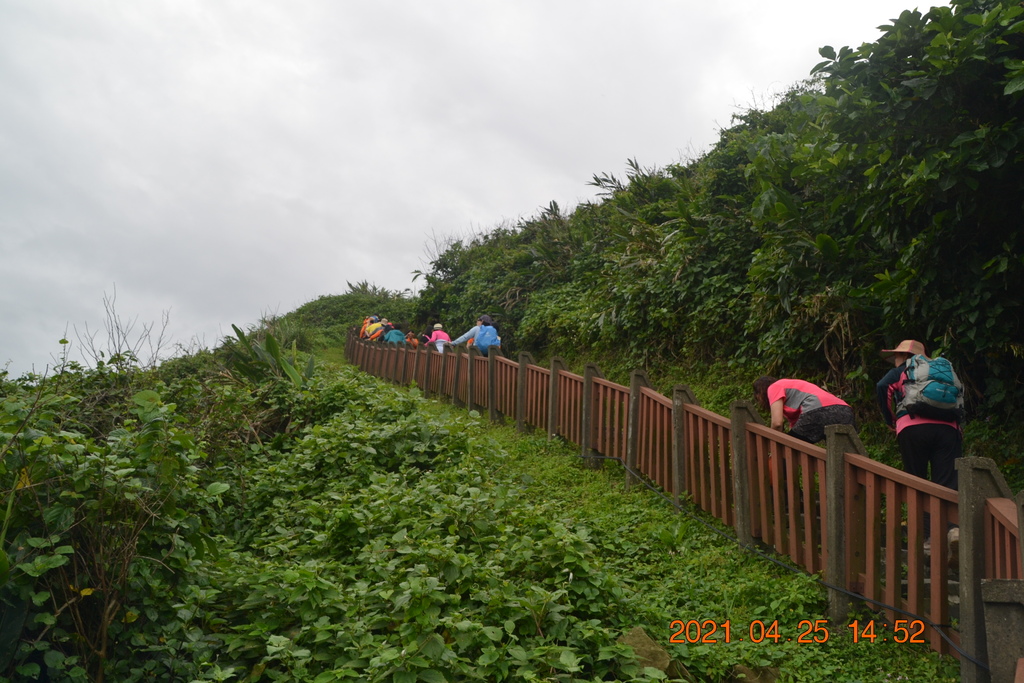 DSC_0321.JPG DSC_0321.JPG