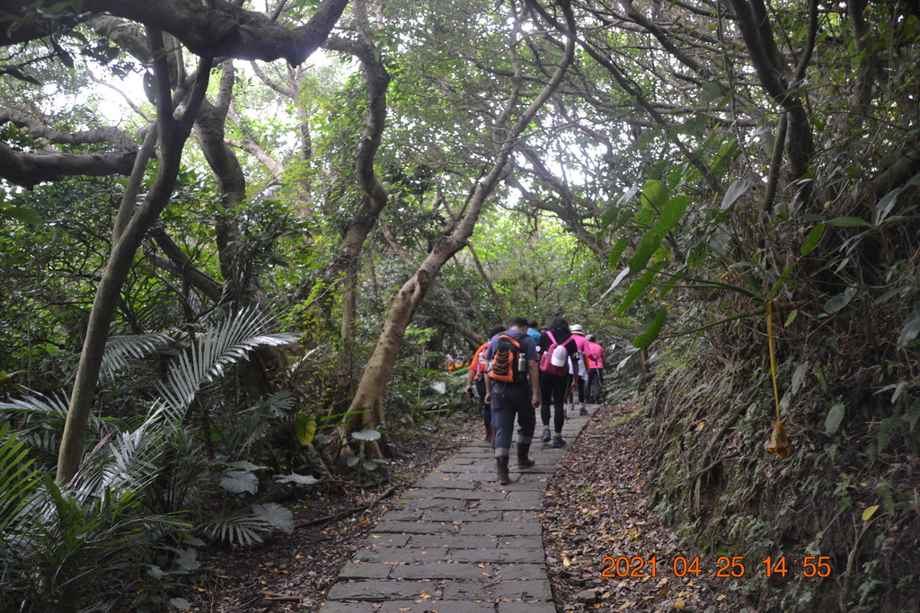 DSC_0323.JPG DSC_0323.JPG