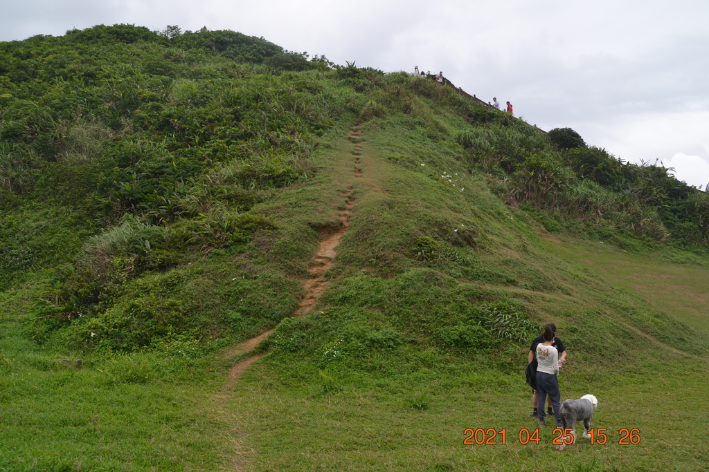 DSC_0354.JPG DSC_0354.JPG