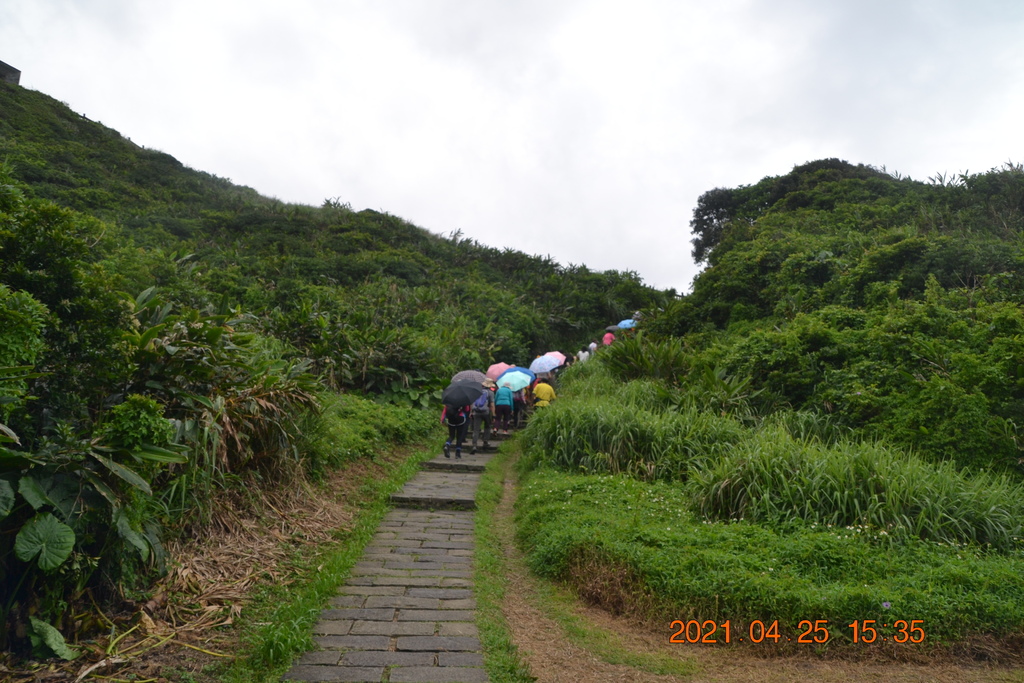 DSC_0362.JPG DSC_0362.JPG