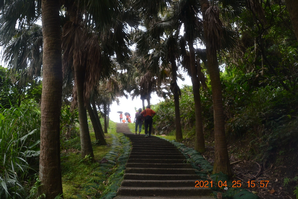 DSC_0401.JPG DSC_0401.JPG