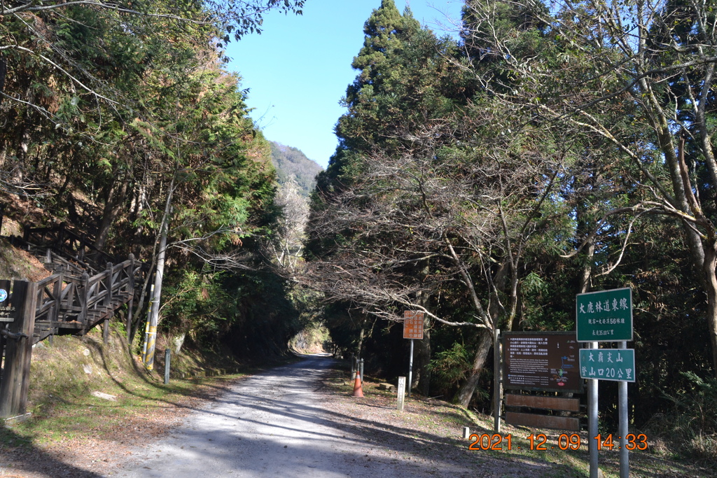 苗栗觀霧森林遊樂區觀霧山莊-觀霧二日遊-4