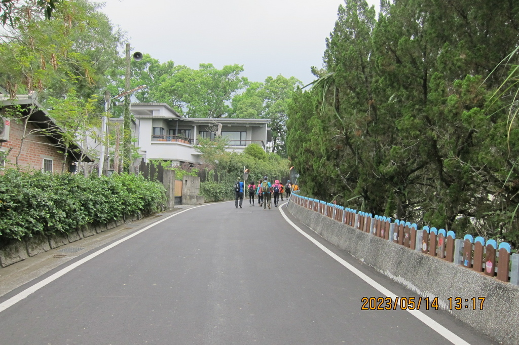 南投澀水森林步道-南投一日遊-4