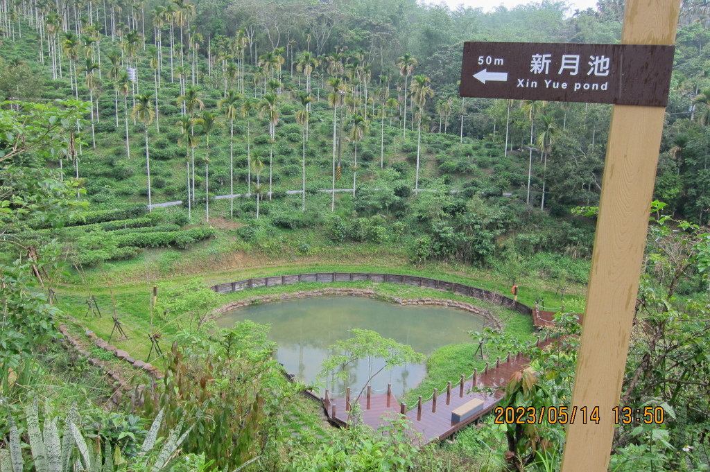 南投澀水森林步道-南投一日遊-4