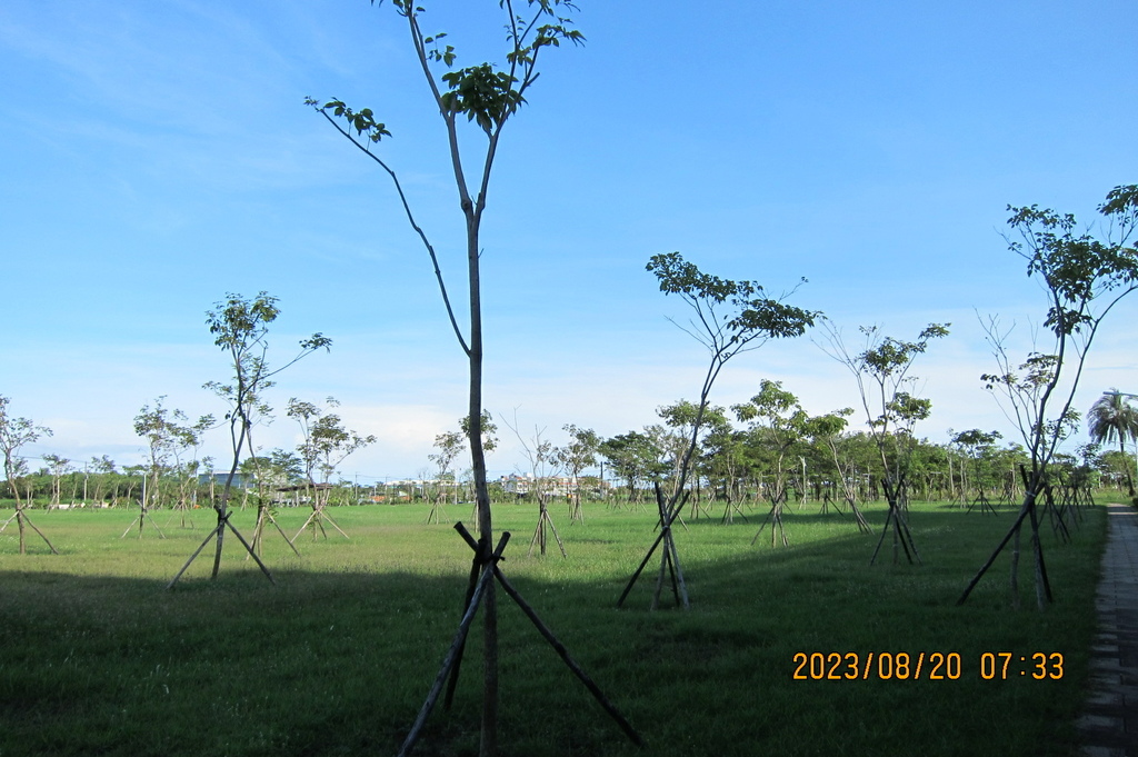 台南聖母廟公園