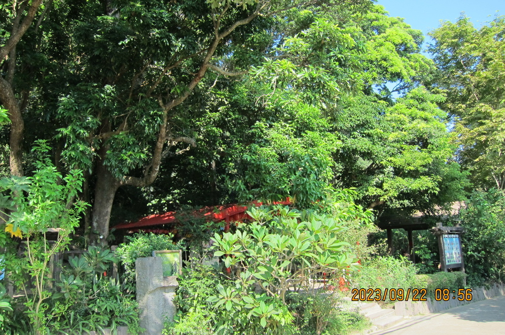 苗栗頭份氏太極拳協會永和山水庫登山及餐會