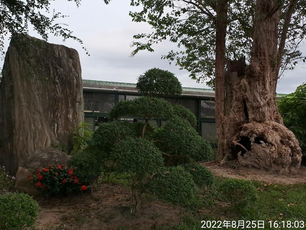 苗栗品園-美麗的花園