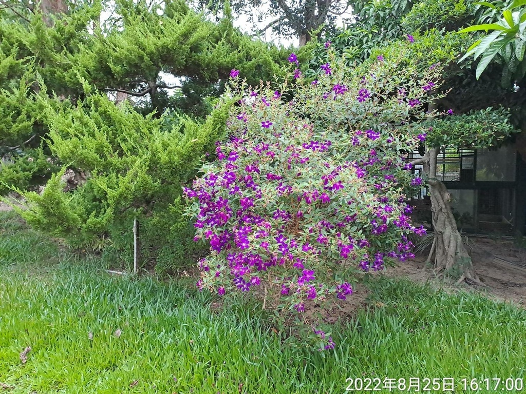 苗栗品園-美麗的花園